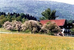 Wanderurlaub in Bayern 2016